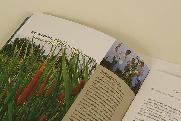 IP Sustainability Report 2000
