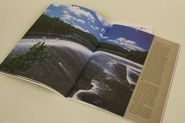 IP Sustainability Report 2000