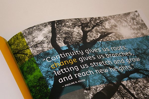 Verso Sustainability Report 2008