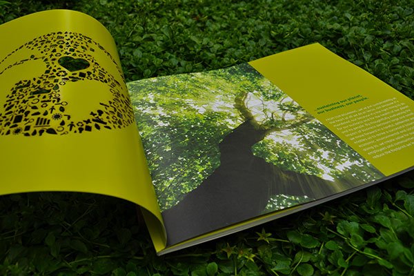 Verso Sustainability Report 2010