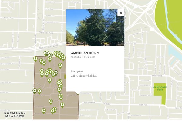 A customized interactive map with pop-up windows leading to featured pages for each specimen tree makes finding and identifying trees easy.