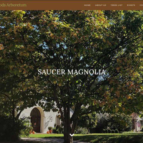 Saucer Magnolia page from avonwoods.com