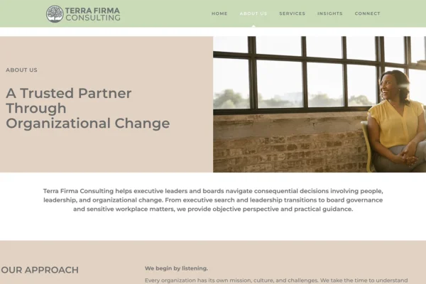 Introduces Terra Firma's story, leadership, and philosophy, reinforcing the firm's credibility as a trusted advisor during pivotal organizational moments.